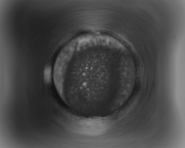 X0000087520024200705251648