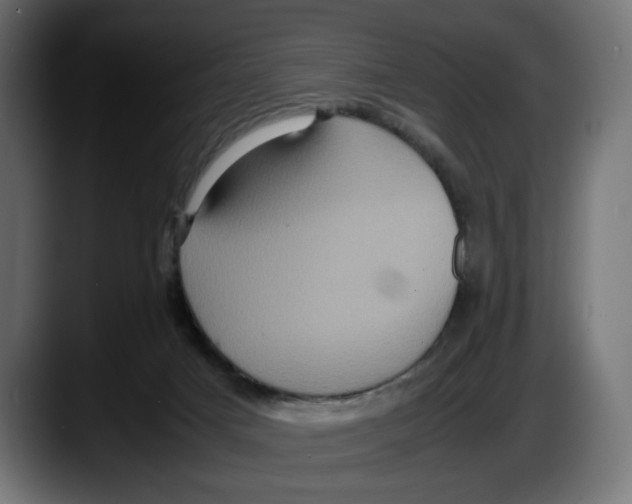 X0000087520025200705251648