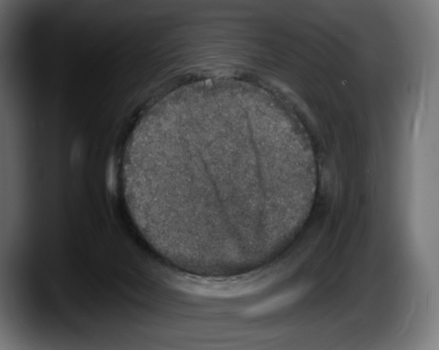 X0000087520026200705251648