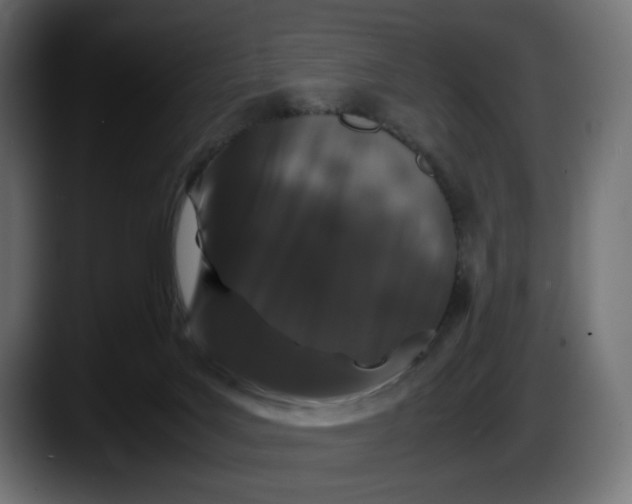 X0000087520027200705251648