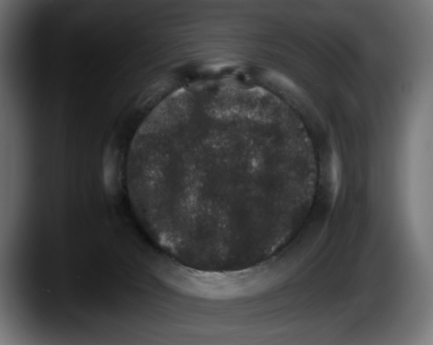 X0000087520030200705251648