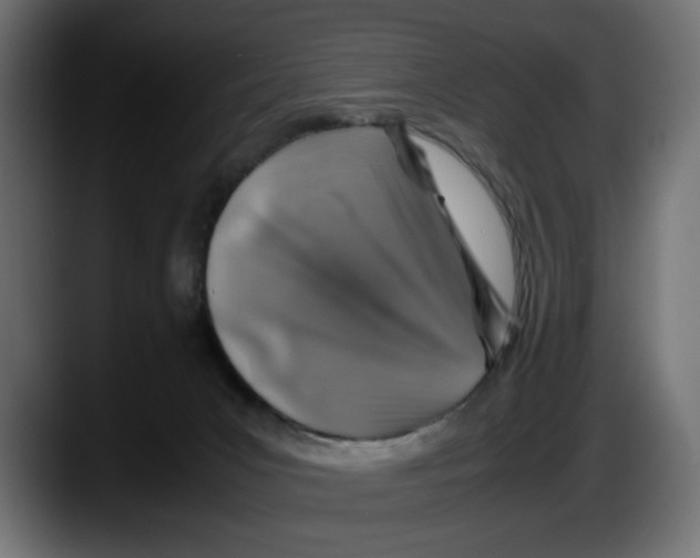 X0000087520031200705251648