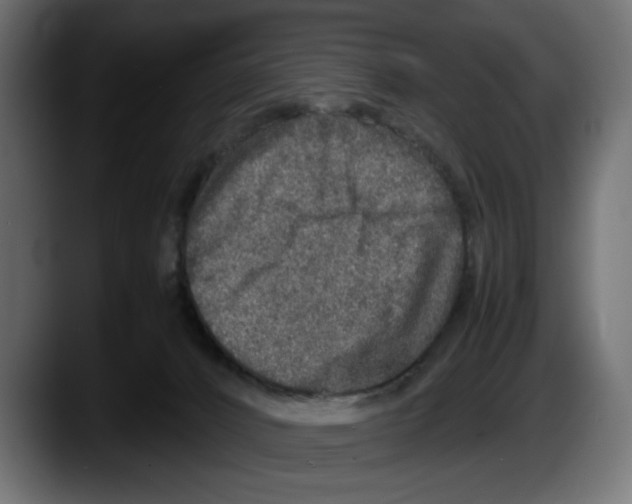 X0000087520032200705251648