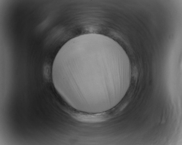 X0000087520036200705251648