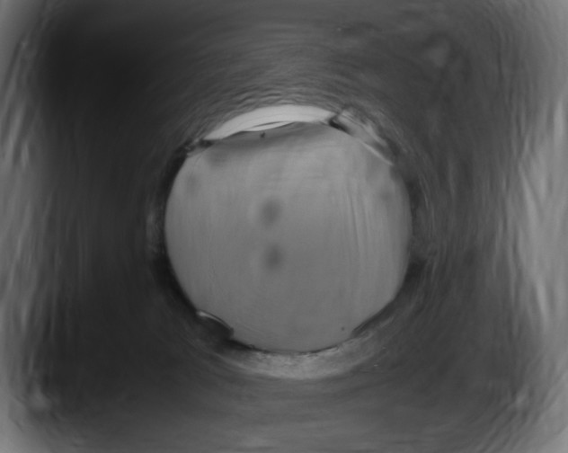 X0000087520037200705251648