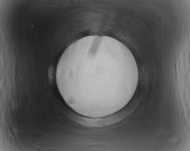 X0000087520038200705251648