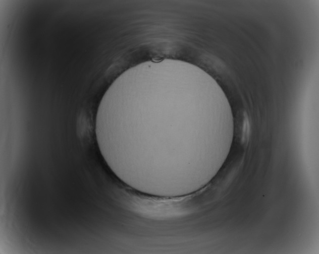 X0000087520040200705251648