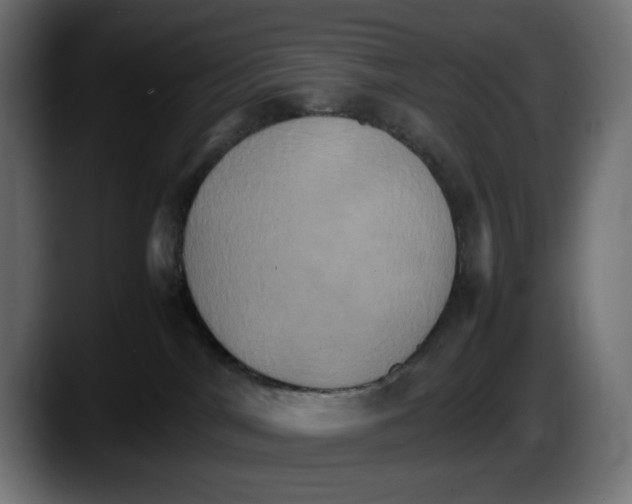 X0000087520044200705251648