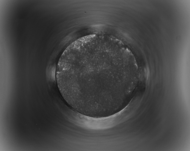 X0000087520047200705251648