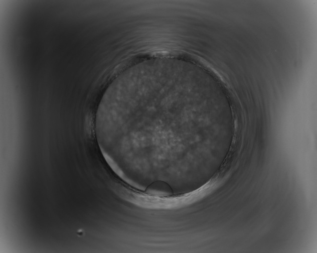 X0000087520048200705251648