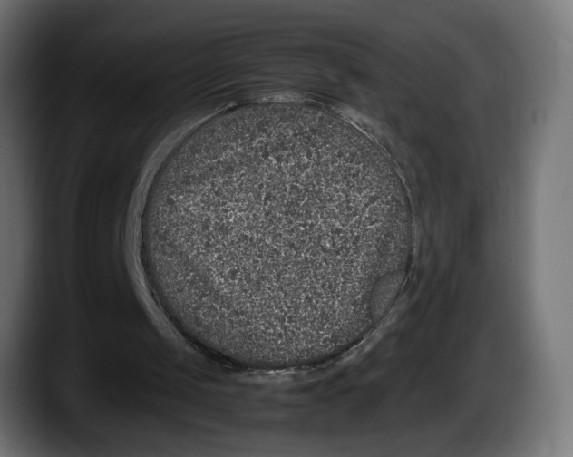 X0000087520049200705251647