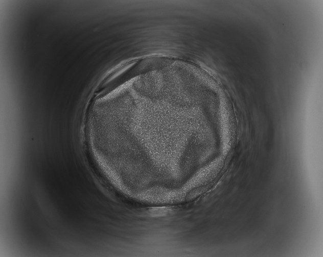 X0000087520050200705251647