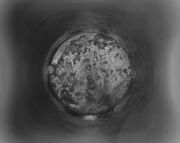 X0000087520053200705251647