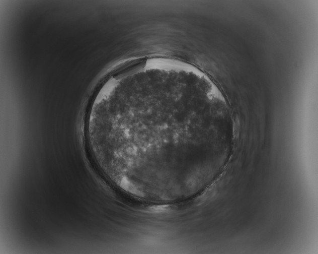 X0000087520054200705251647