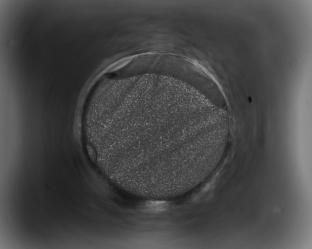 X0000087520055200705251647