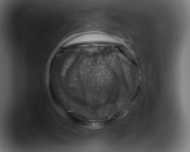 X0000087520056200705251647