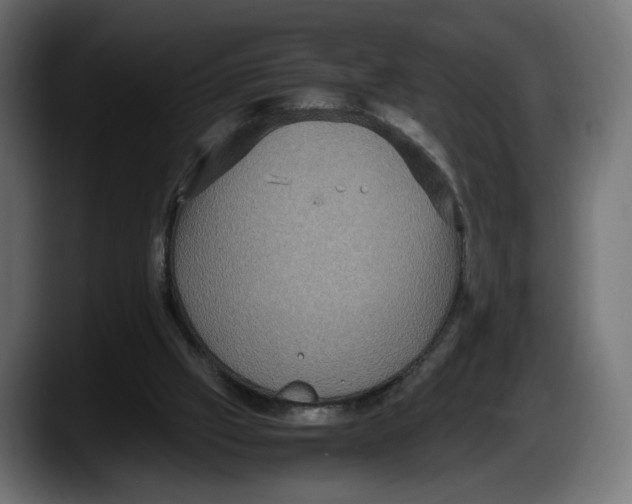 X0000087520057200705251647