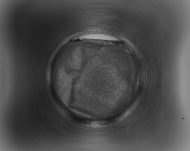 X0000087520064200705251647