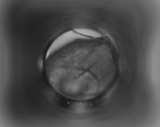 X0000087520067200705251647