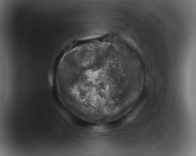 X0000087520068200705251647