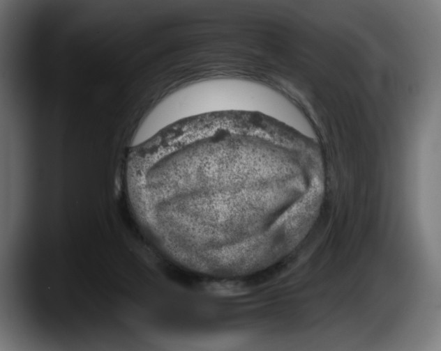 X0000087520069200705251647