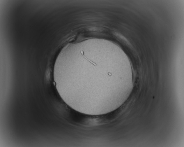 X0000087520071200705251648