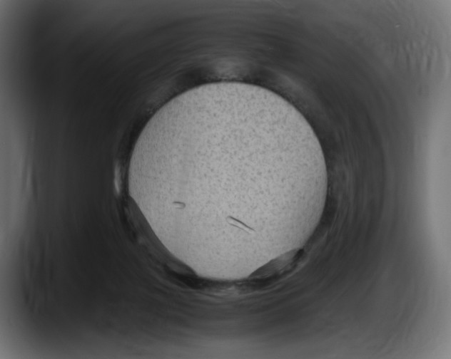 X0000087520075200705251648