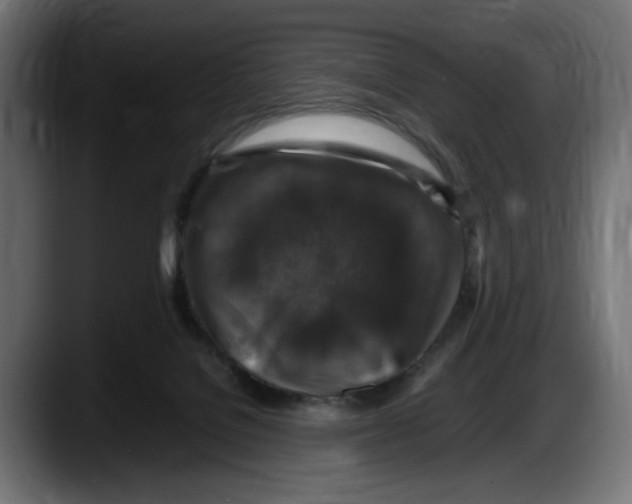 X0000087520076200705251648