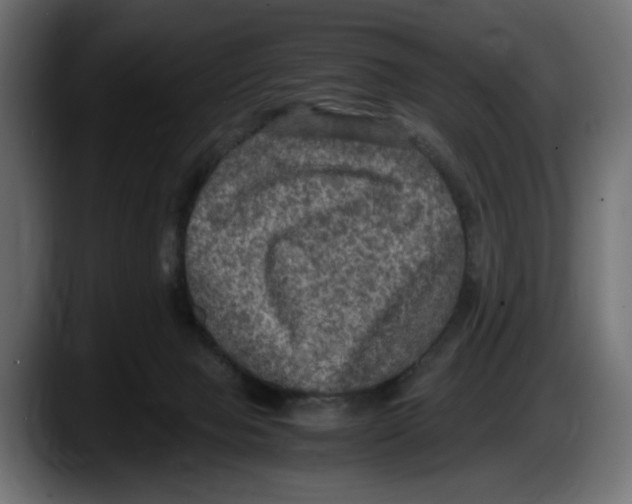 X0000087520077200705251648