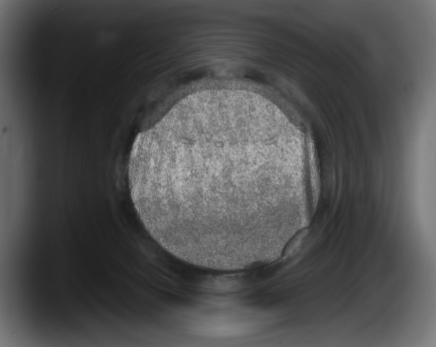 X0000087520078200705251648