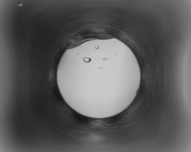 X0000087520079200705251648