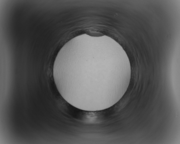 X0000087520091200705251648