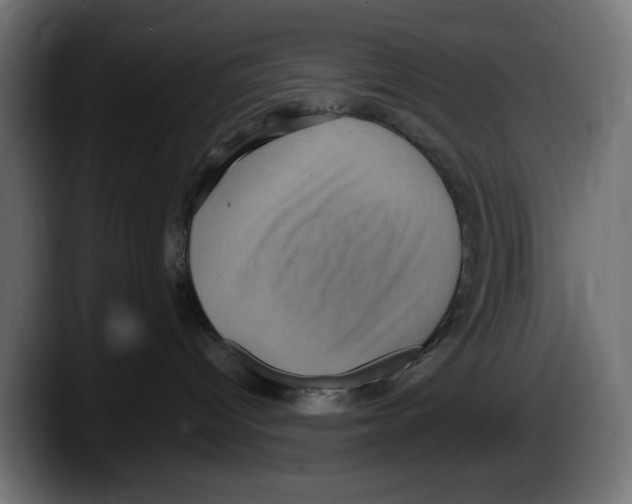 X0000087520096200705251648