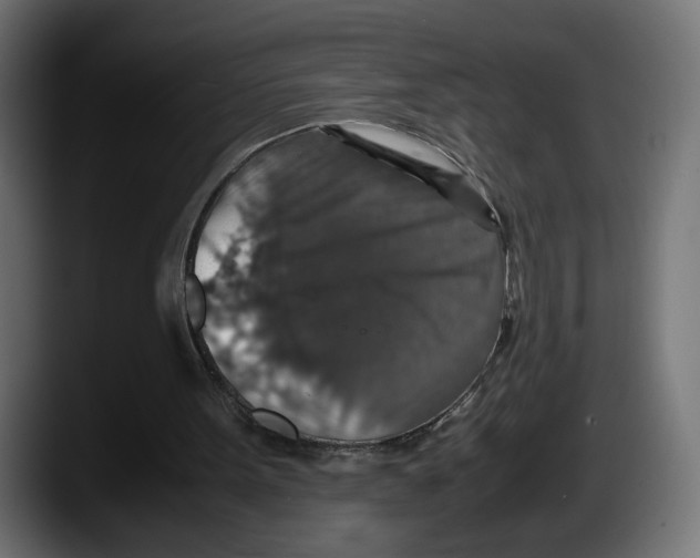 X0000087520099200705251647