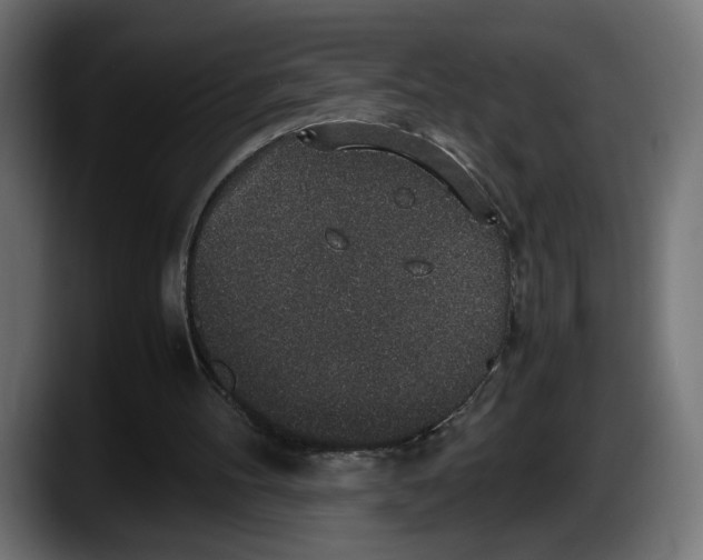 X0000087520100200705251647