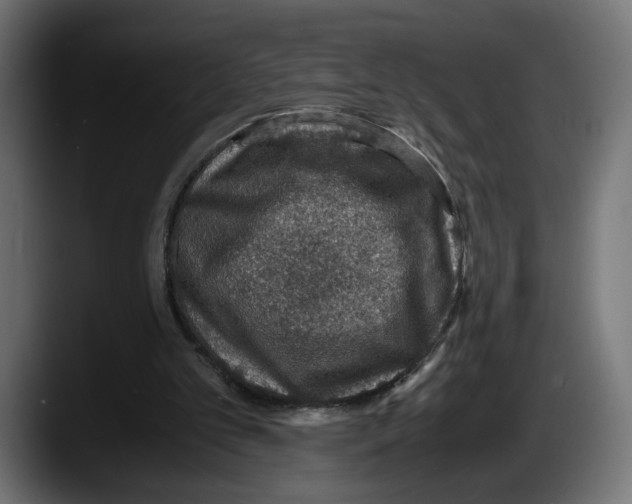 X0000087520101200705251647