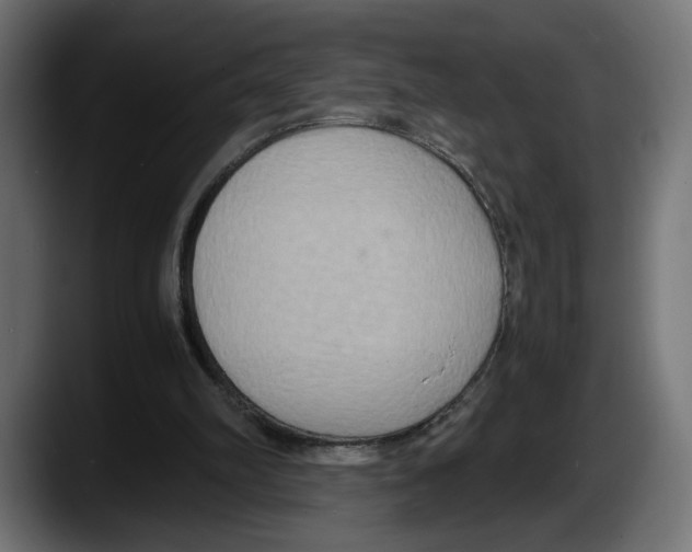 X0000087520102200705251647