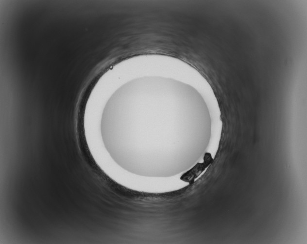 X0000087520104200705251647