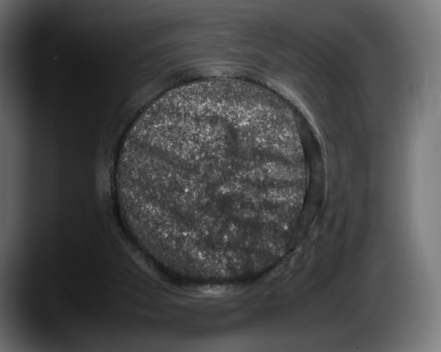 X0000087520105200705251647