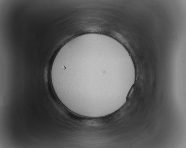 X0000087520106200705251647