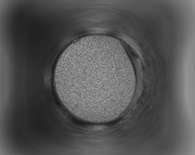 X0000087520107200705251647