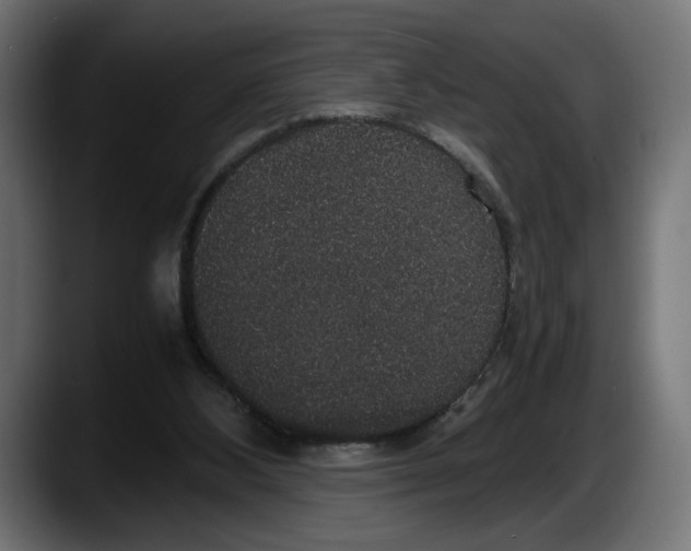 X0000087520108200705251647