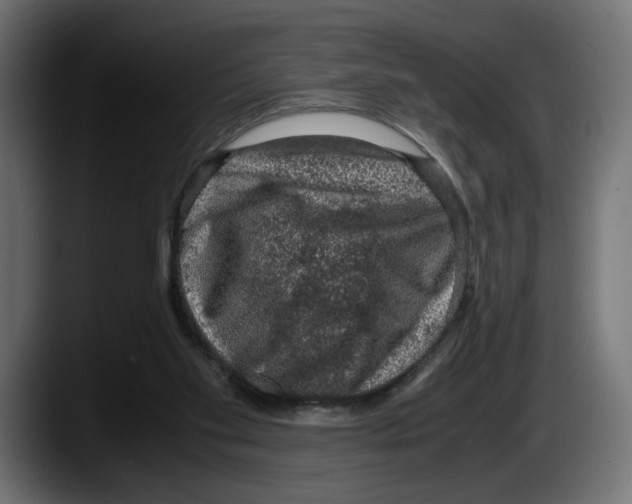 X0000087520109200705251647