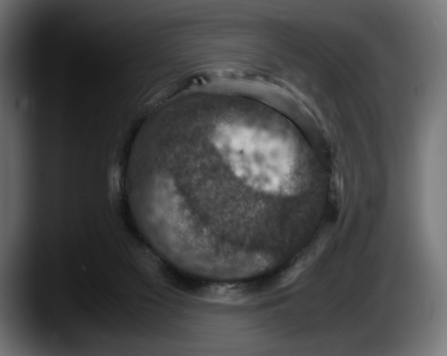 X0000087520117200705251647