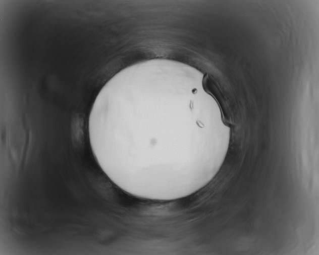 X0000087520122200705251647