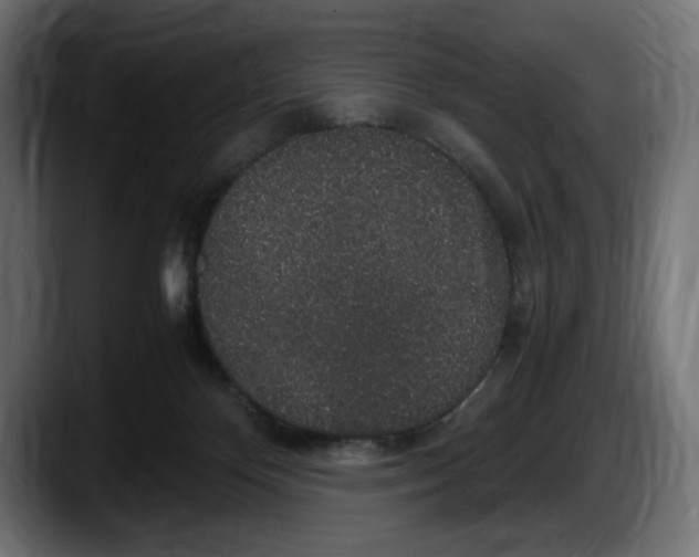 X0000087520124200705251647