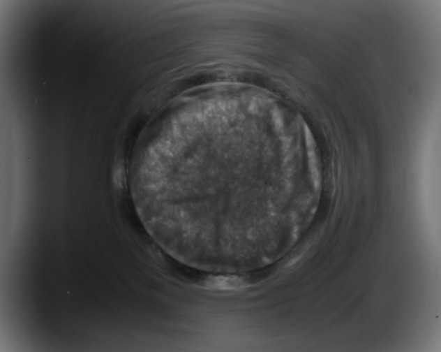 X0000087520137200705251647