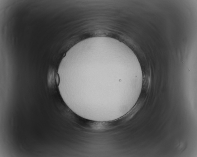 X0000087520142200705251647