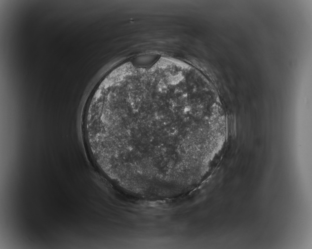 X0000087520147200705251646