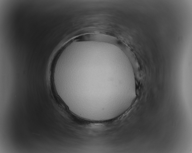 X0000087520150200705251646